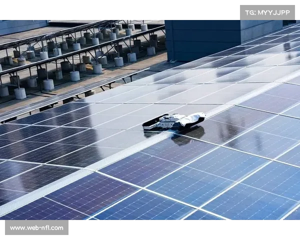 场馆屋顶光伏并网发电，年减碳量相当于植树万棵